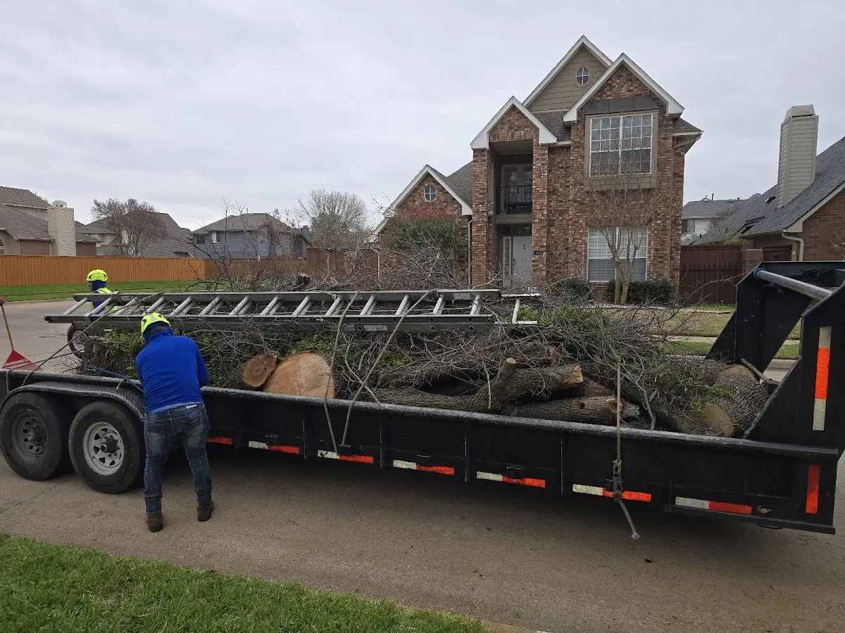 Expert Tree Fertilization with proper safety equipment in Montreal